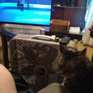 Meet your Posher, Mark